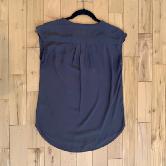 Pleated Sheer Blouse - Picture 4 of 6